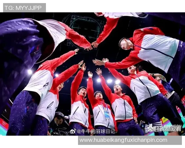 深圳羽毛球队精英赛之路:拼搏与荣耀的奋斗历程揭秘